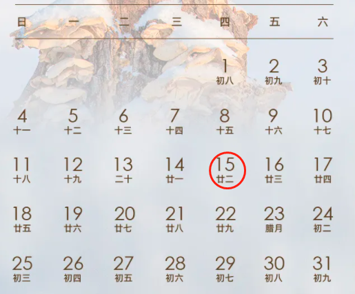 12.png