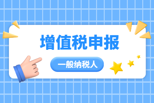 一般纳税人.png
