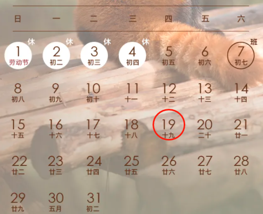 5.png