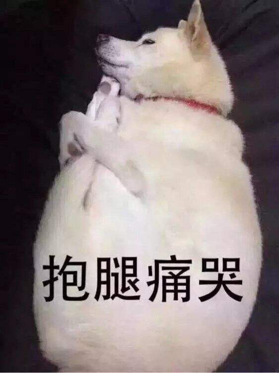 发放.jpeg